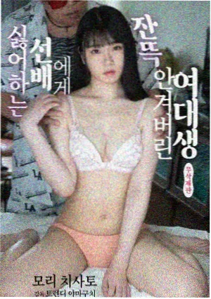 间谍过家家封面